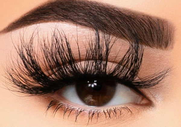 Breaking Necks Lashes